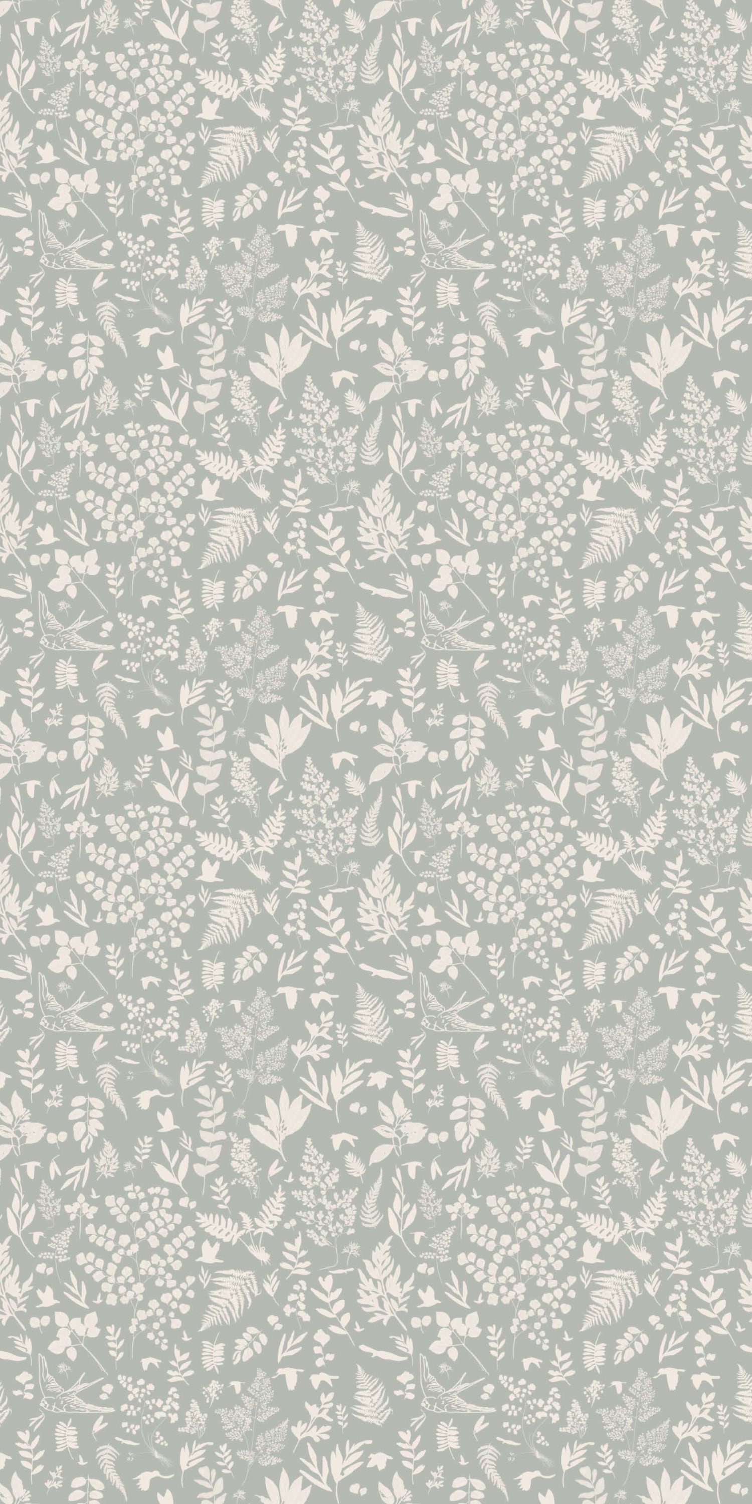 Image of Fern in Powder Wallpaper
