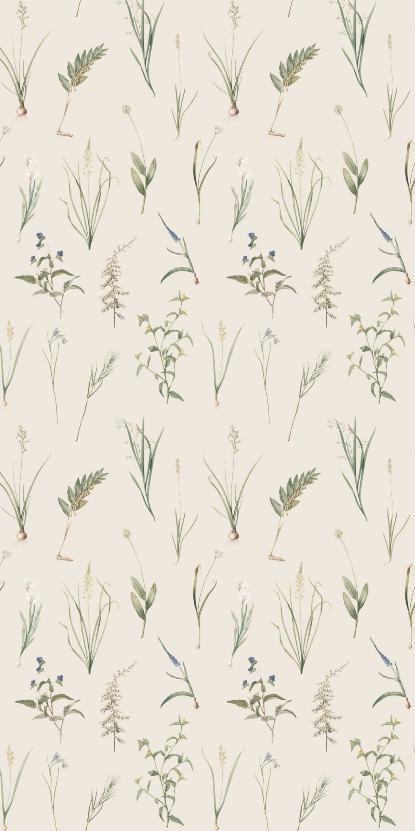 Image of Fresh Cut in Natural wallpaper