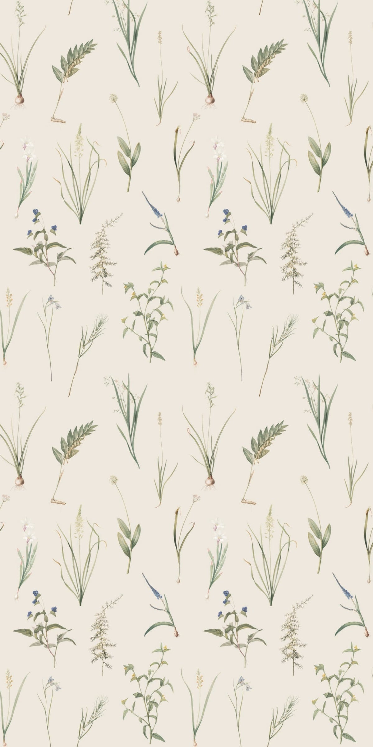 Image of Fresh Cut in Natural wallpaper