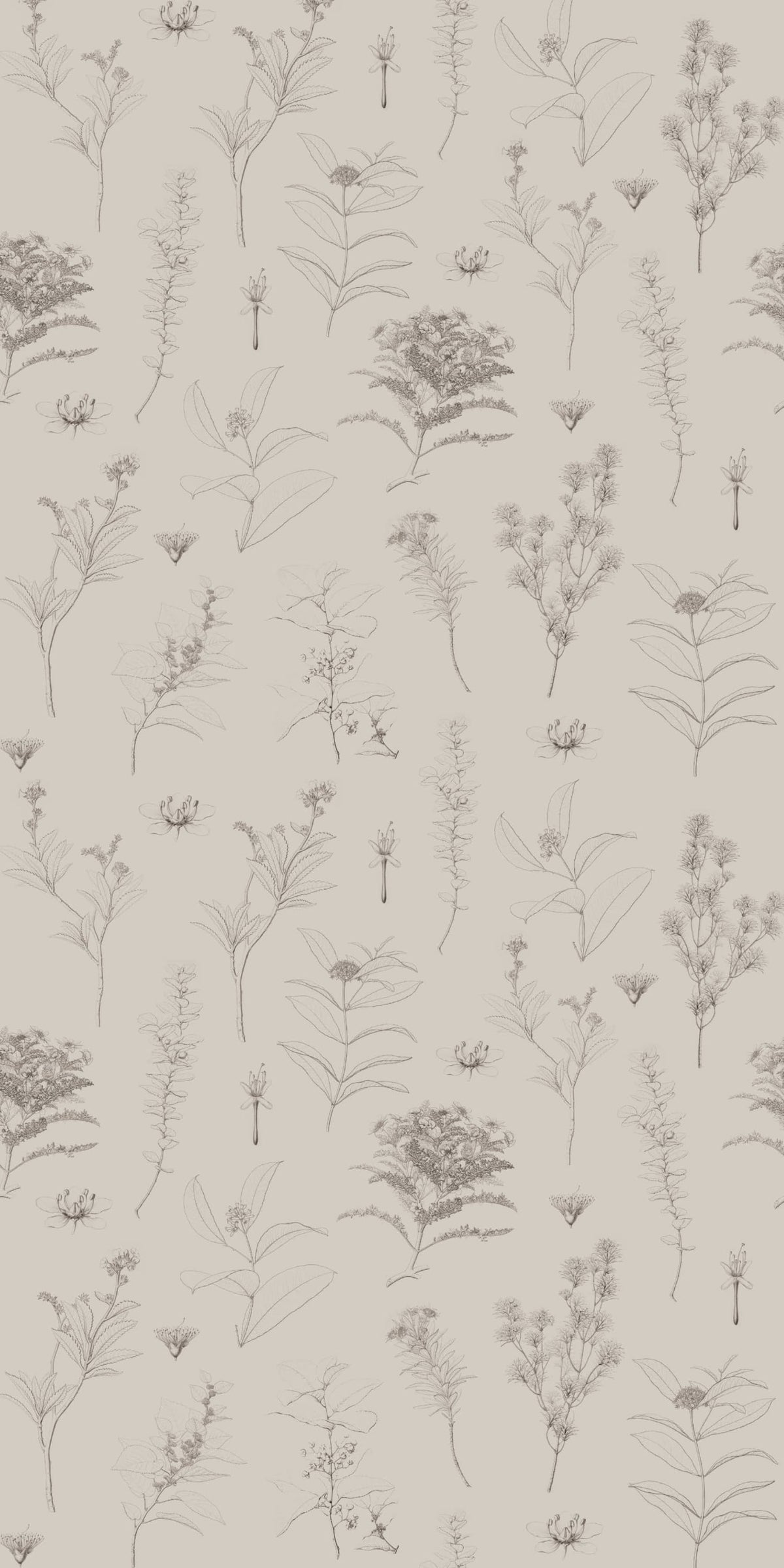 Gather in Mushroom wallpaper.