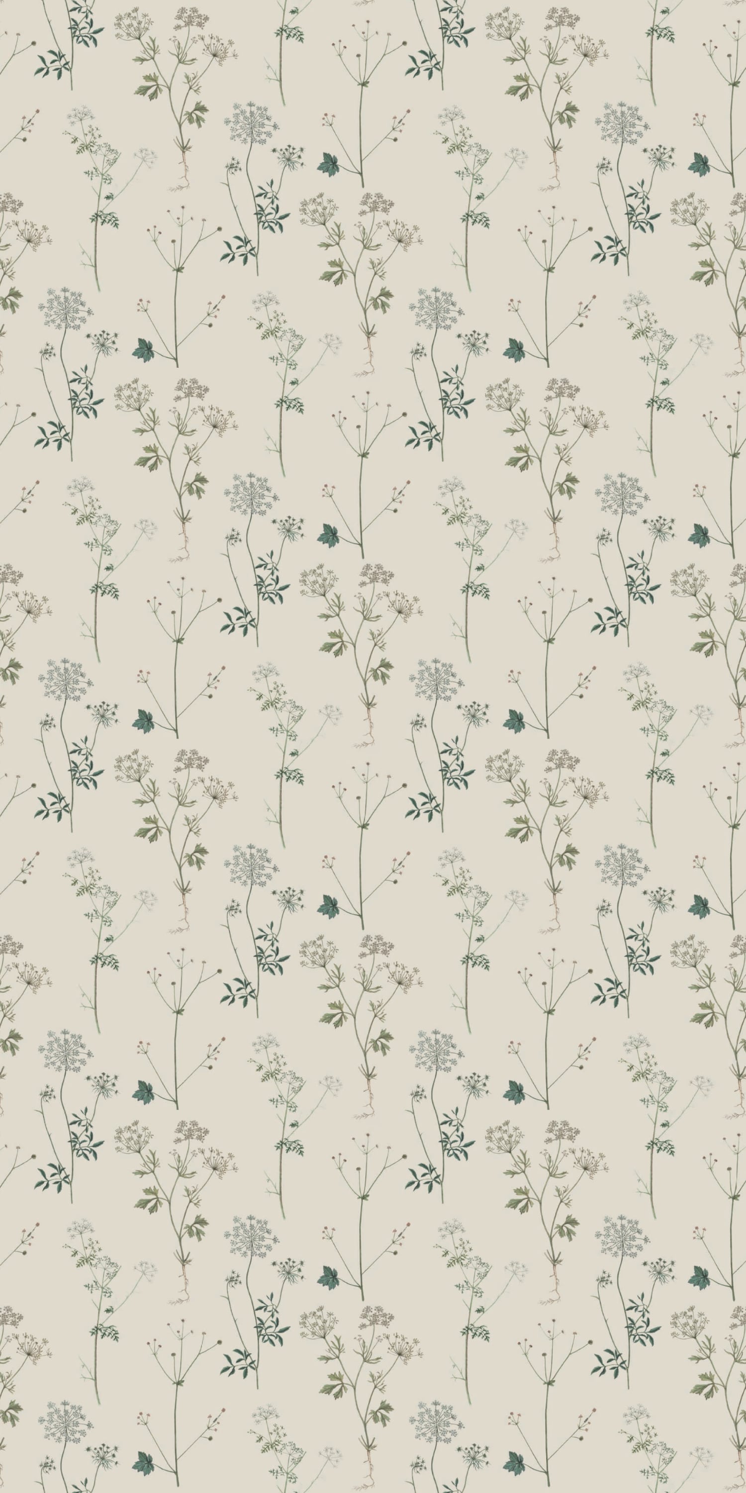 Image of Lace in Cream Wallpaper