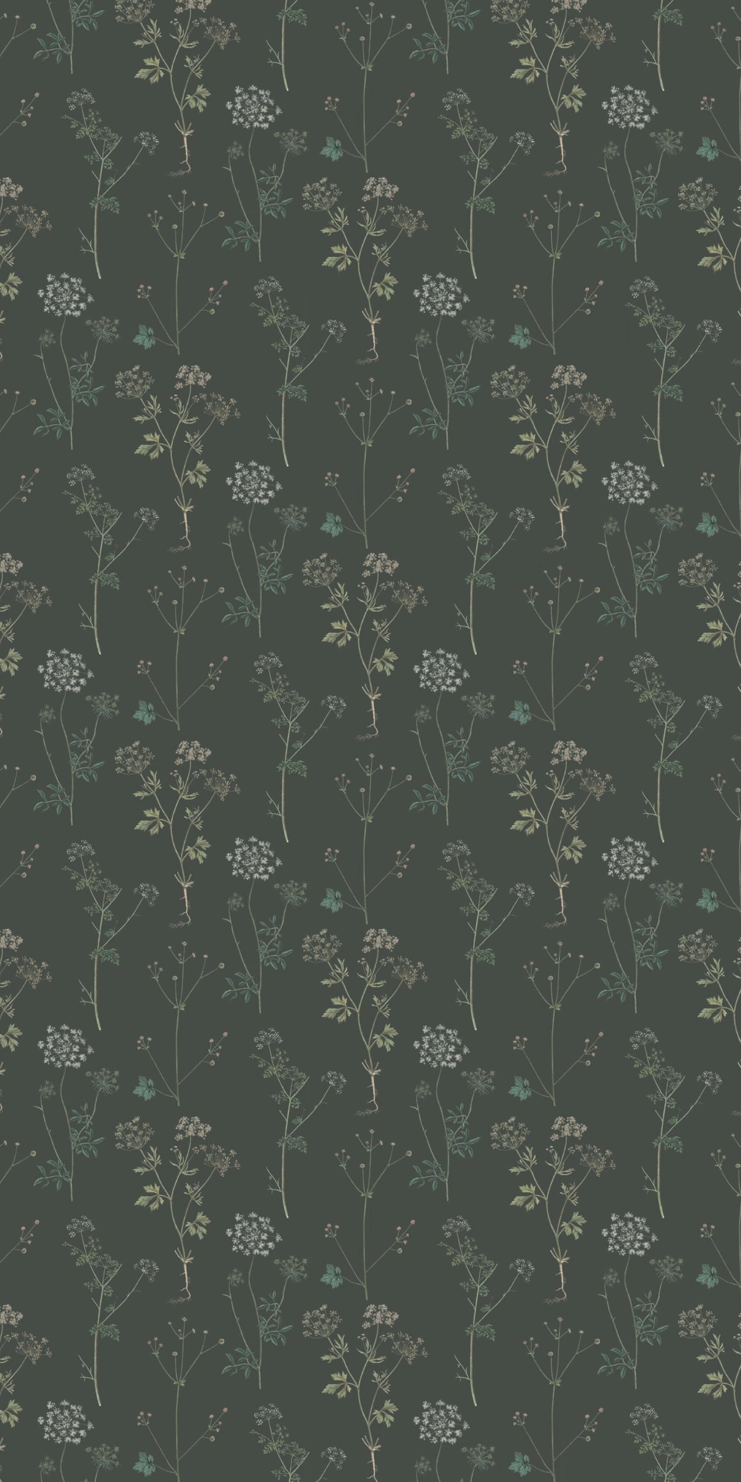 Image of Lace in Evergreen Wallpaper