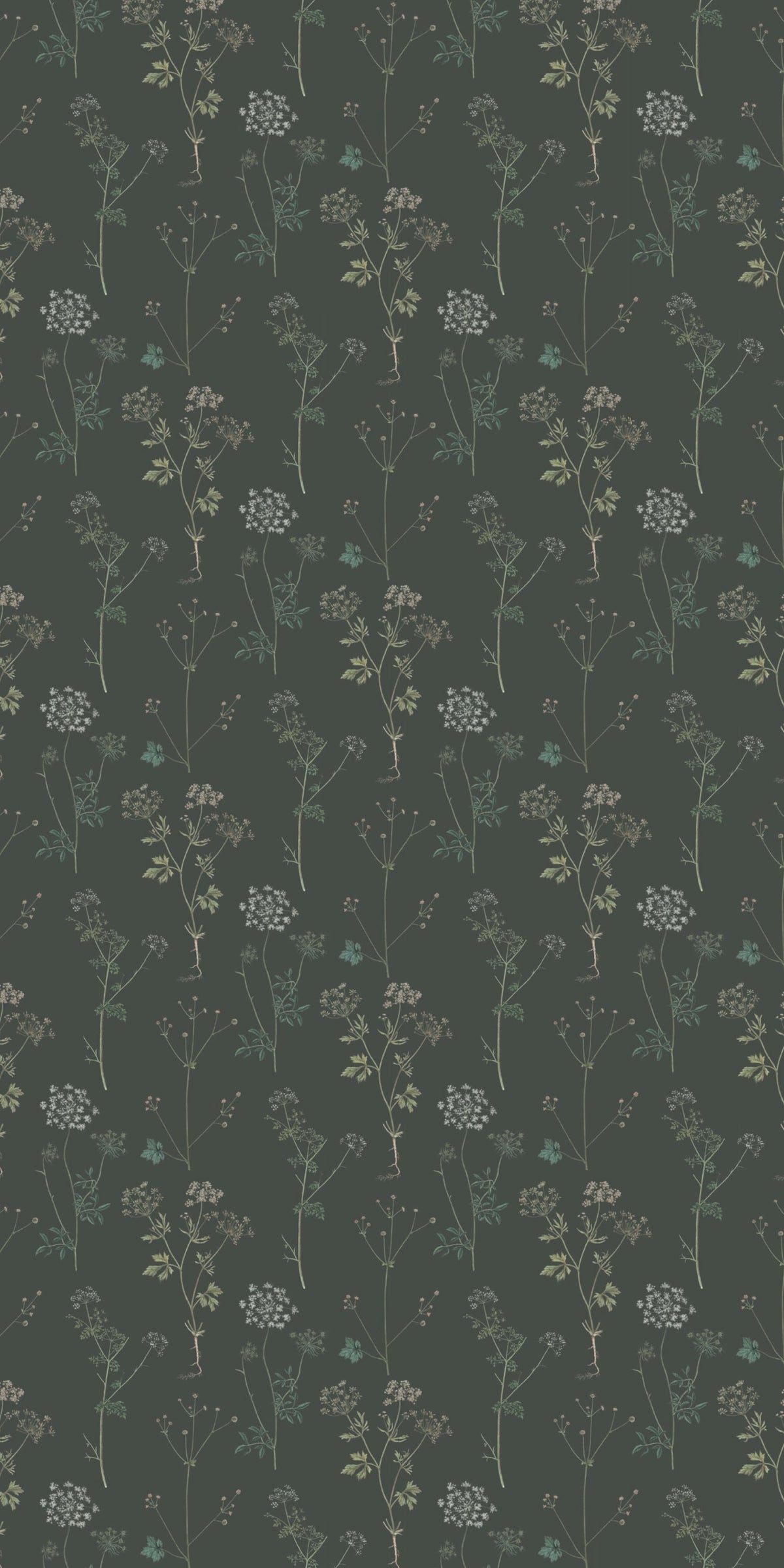 Image of Lace in Evergreen Wallpaper