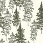Image of Pacific Northwest in Green Wallpaper