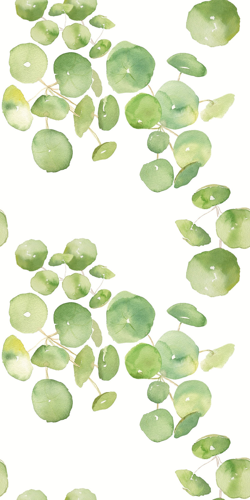 Spring Leaves in White color