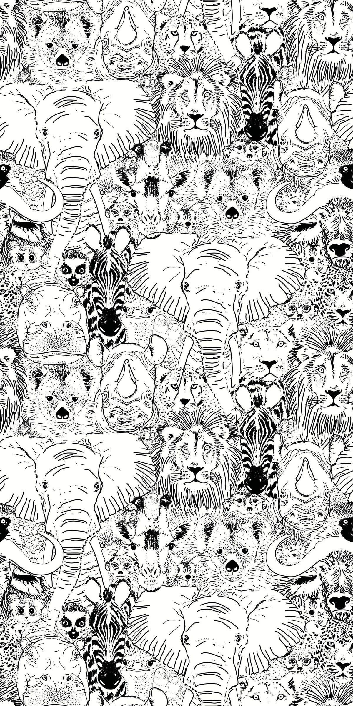 Wild Thing in Black and White Wallpaper
