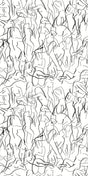 Black and White -- 242424